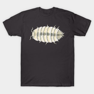 Trichorhina tomentosa "Dwarf White" Isopod T-Shirt